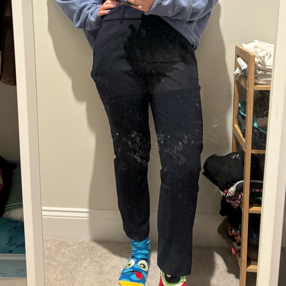 ANN TAYLOR DRESS PANTS